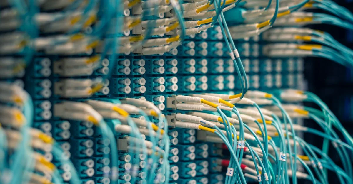 Gros plan sur des câbles réseau de données connectés à un panneau de brassage dans une salle de serveur.